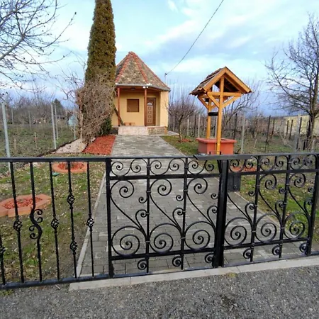 Barna Kucko Daire